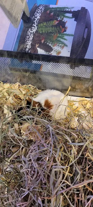 Finatics Aquarium & Pet Center 12