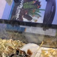 Finatics Aquarium & Pet Center ico