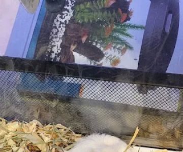 Finatics Aquarium & Pet Center
