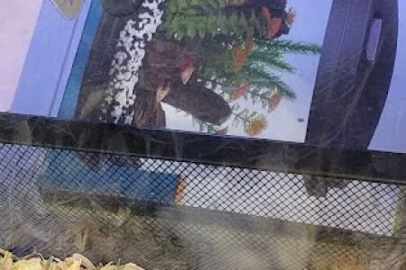 Finatics Aquarium & Pet Center