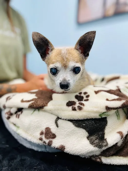 Whole Pet Veterinary Hospital - Mountain Island 8