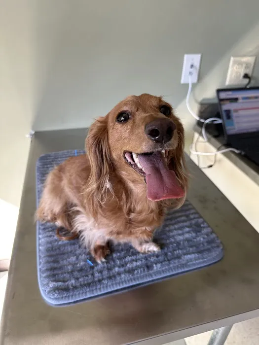 Whole Pet Veterinary Hospital - Mountain Island 2