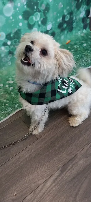 Riverbend Veterinary PetCare Hospital 6