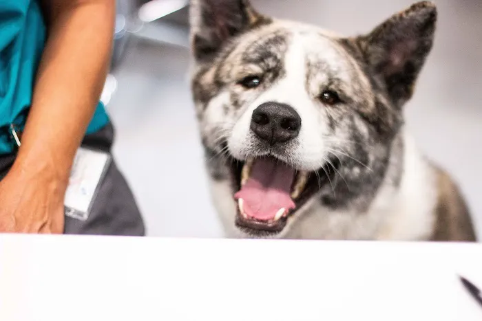 Riverbend Veterinary PetCare Hospital 8