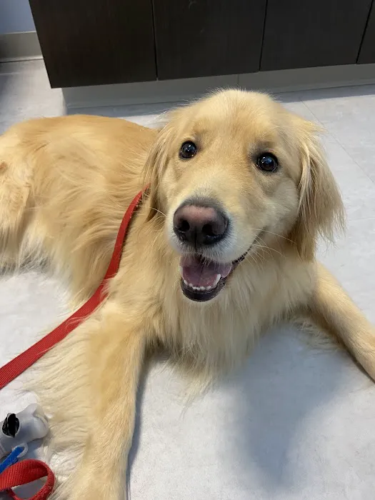 Riverbend Veterinary PetCare Hospital 9