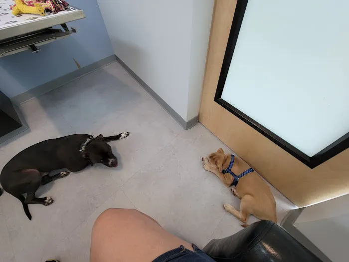 Riverbend Veterinary PetCare Hospital 1