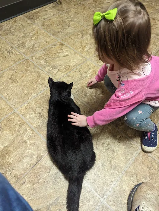 TotalBond Veterinary Hospital at Forestbrook 9