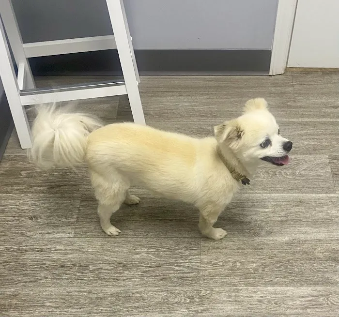 Eastridge Animal Hospital 6