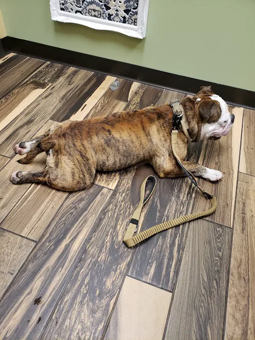 Grace Animal Hospital 6