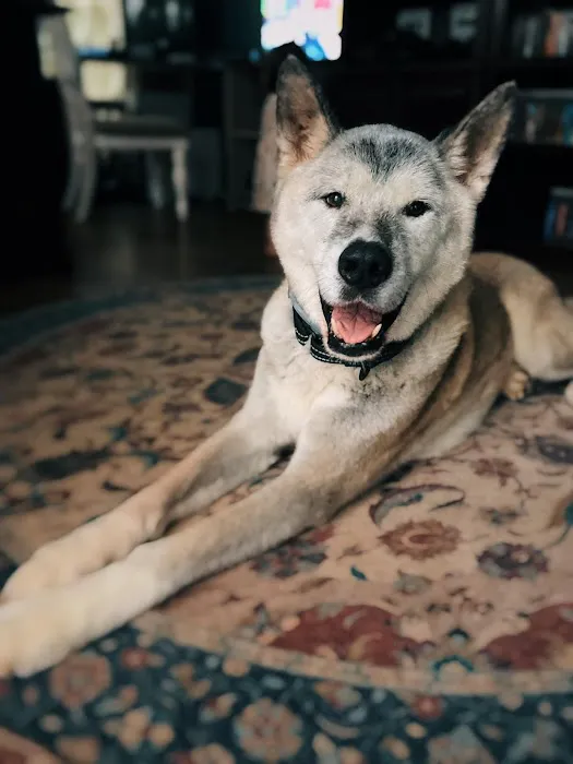 Grace Animal Hospital 3
