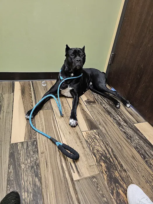 Grace Animal Hospital 4