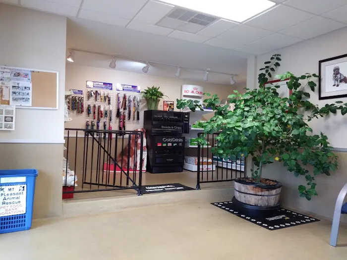 Mt. Pleasant Animal Hospital 3