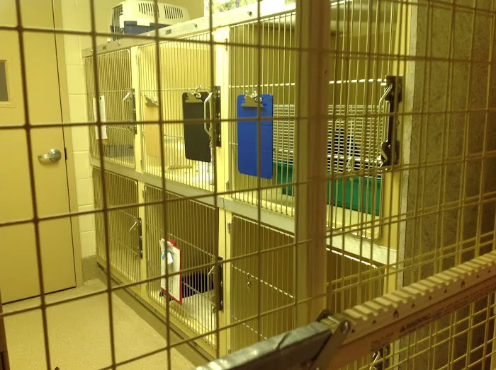 Mt. Pleasant Animal Hospital 2
