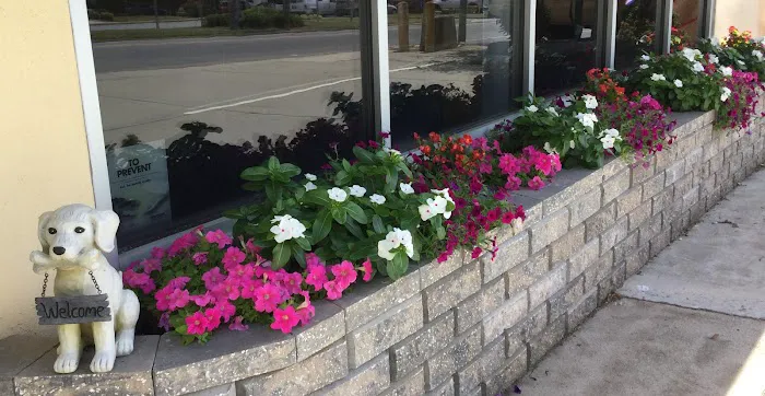Mt. Pleasant Animal Hospital 4