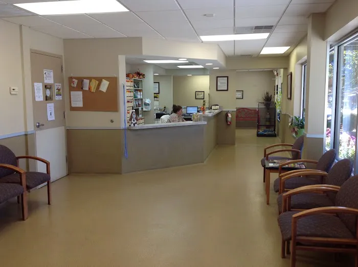 Mt. Pleasant Animal Hospital 1