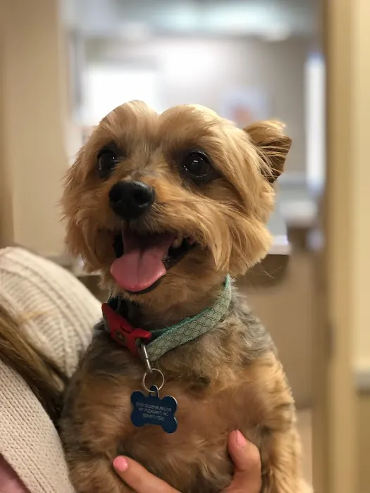 Mt. Pleasant Animal Hospital 8