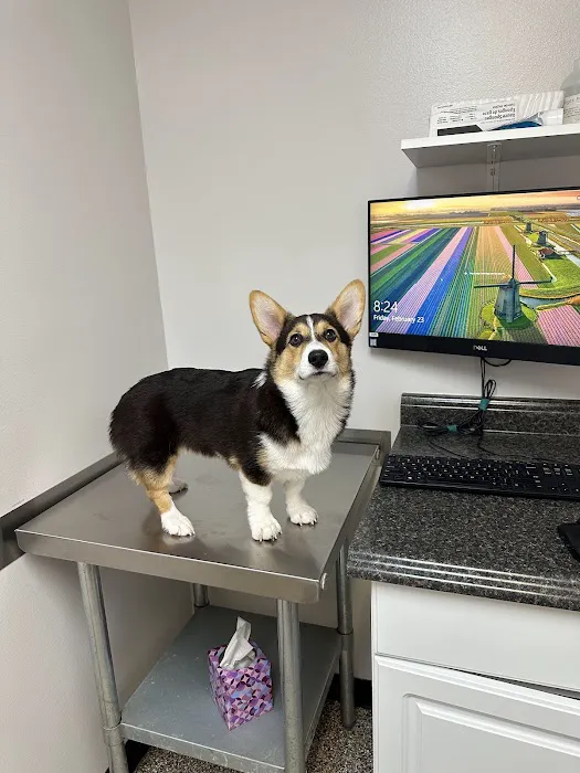 Bear Creek Veterinary Hospital 5