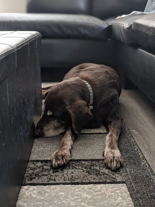 Bear Creek Veterinary Hospital 1