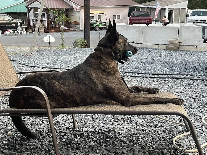 Bear Creek Veterinary Hospital 9