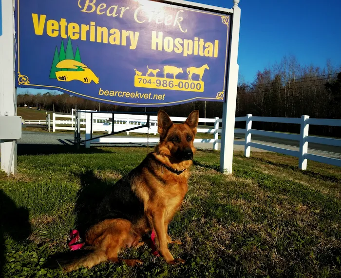 Bear Creek Veterinary Hospital 10
