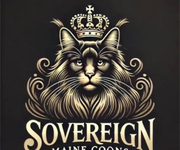 Sovereign Maine Coons