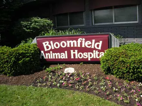 Bloomfield Animal Hospital 7