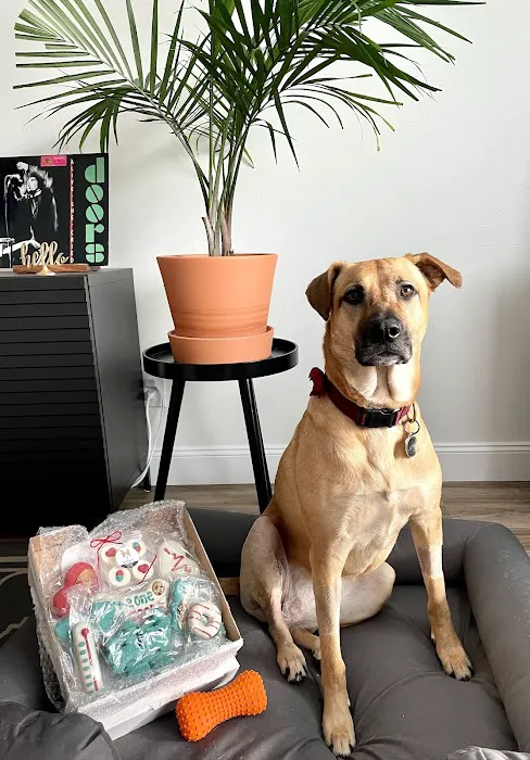 Oakland Veterinary Referral Services 1