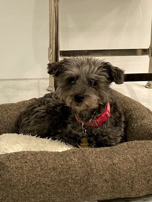 Oakland Veterinary Referral Services 7