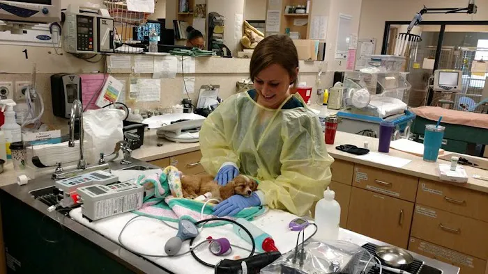 Oakland Veterinary Referral Services 9