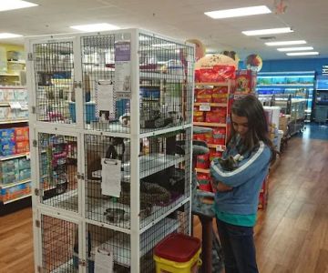 Pet Supermarket