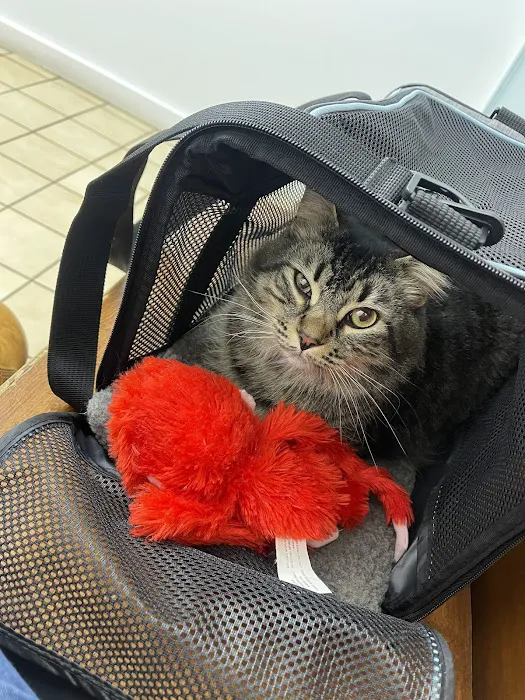 Ross Hospital for Animals 9