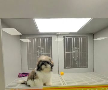 Petland Nashville