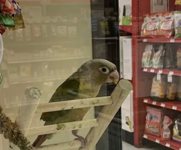 Petco