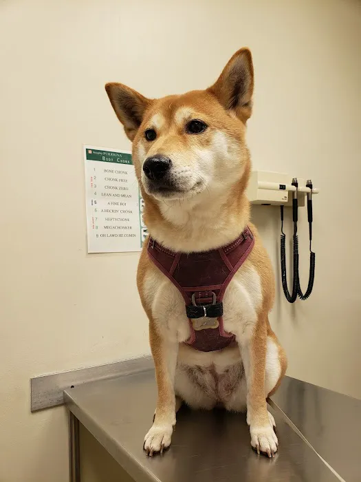 Gasow Veterinary Hospital 4