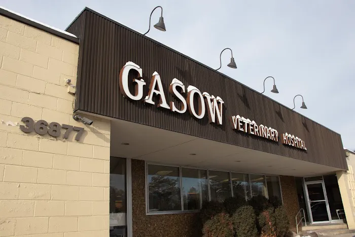 Gasow Veterinary Hospital 8