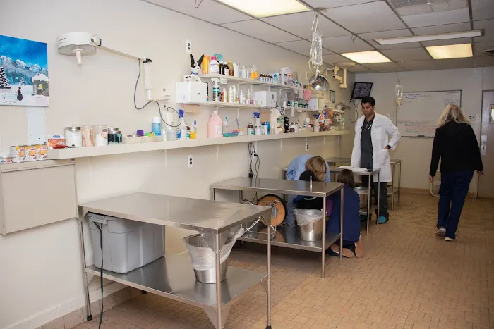 Gasow Veterinary Hospital 7