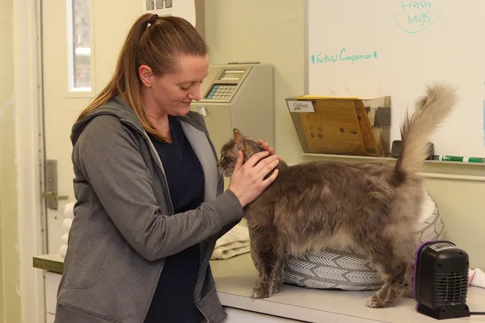 Gasow Veterinary Hospital 10
