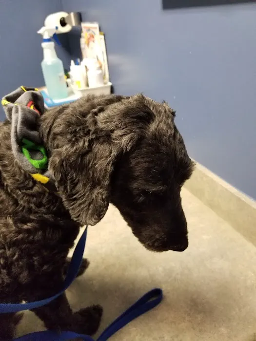 Howdershell Animal Clinic 4