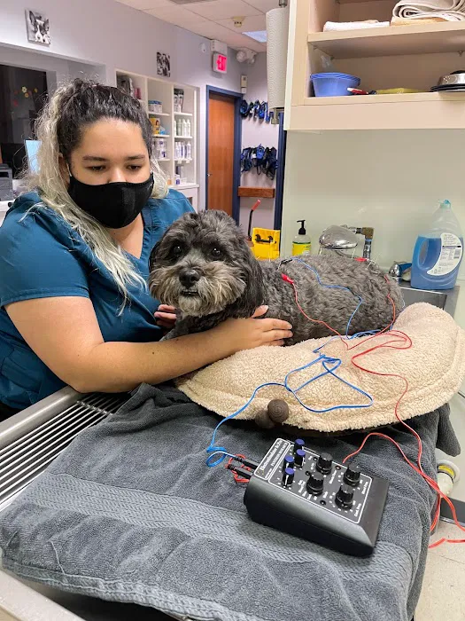 CWE Vet Hospital & Urgent Care 2