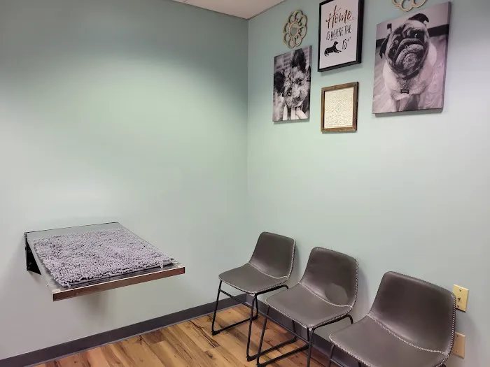 CWE Vet Hospital & Urgent Care 4