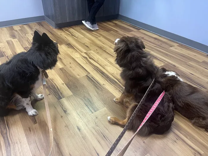 CWE Vet Hospital & Urgent Care 1