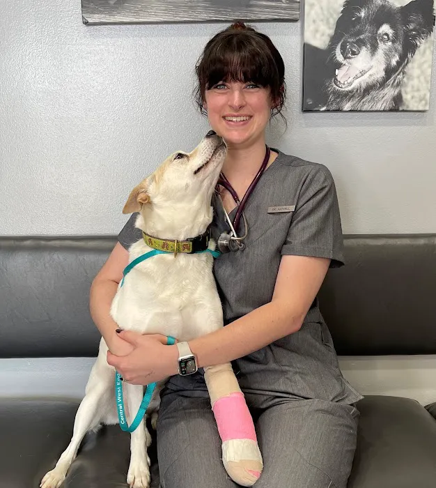 CWE Vet Hospital & Urgent Care 7