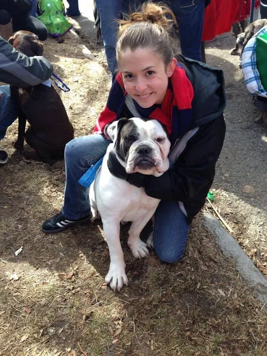 St Louis Veterinary Center 12
