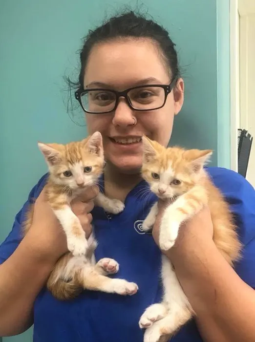 St Louis Veterinary Center 12