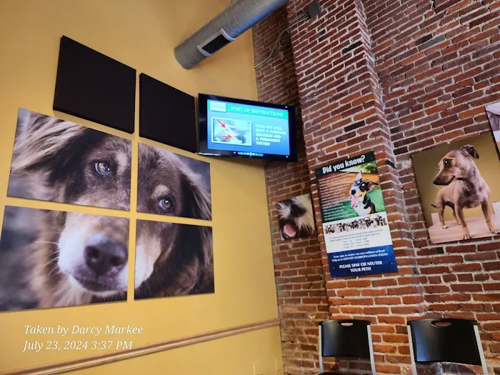 Carol House Quick Fix Pet Clinic 12