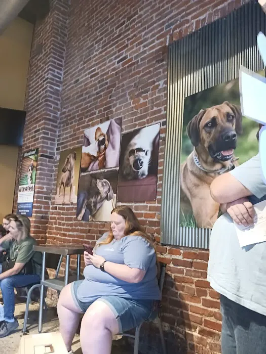 Carol House Quick Fix Pet Clinic 12