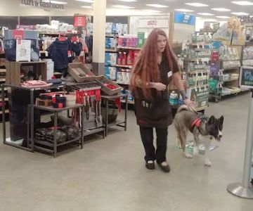 Petco