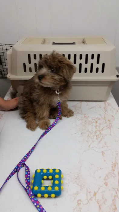 Jefferson Animal Hospital 12