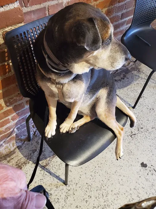 Jefferson Animal Hospital 12
