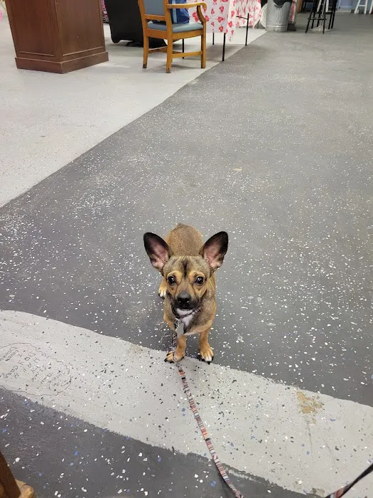 Jefferson Animal Hospital 12